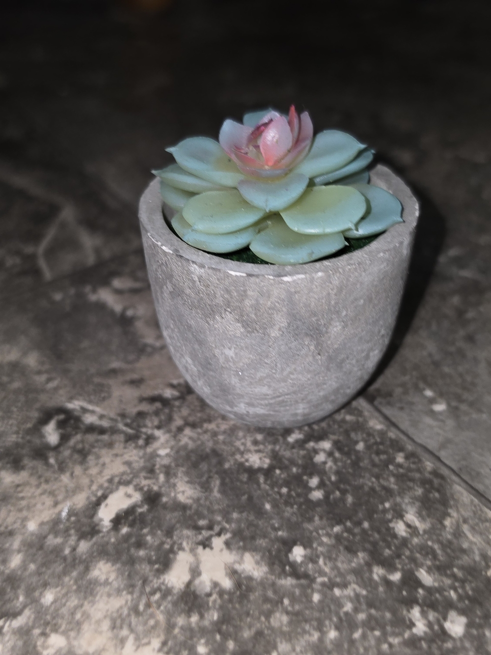 Succulent Faux Plant in Gray Concrete Pot - Home Accents